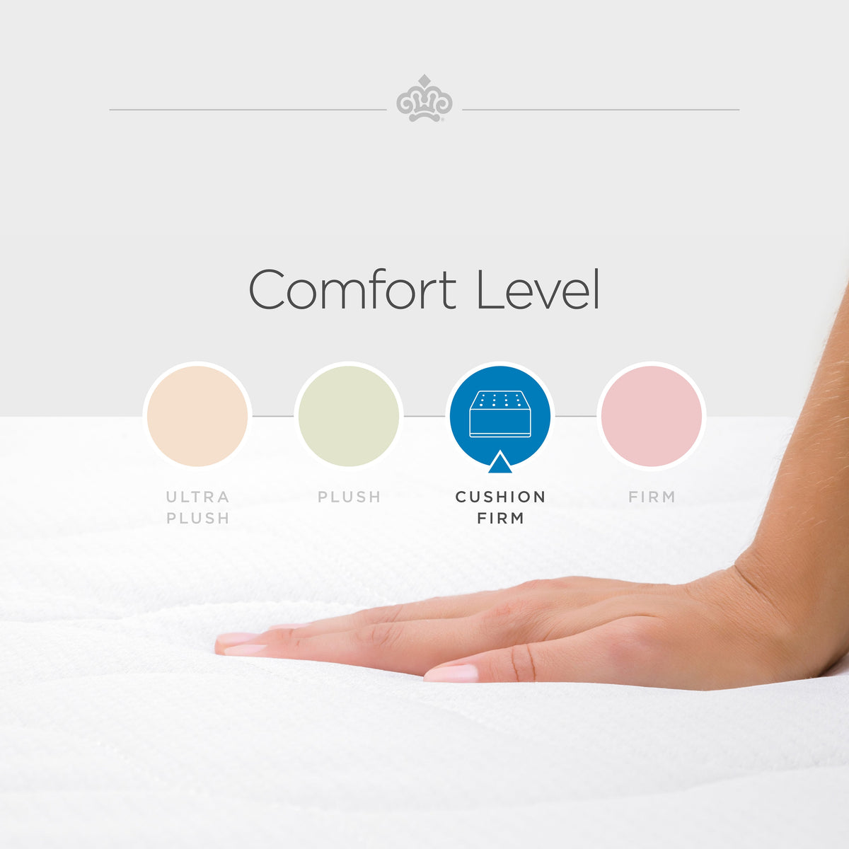 bedMATCH Blue
