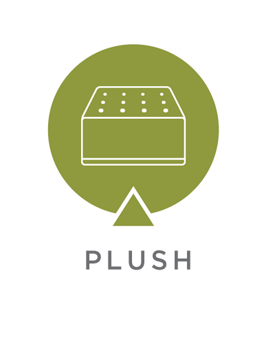 Plush